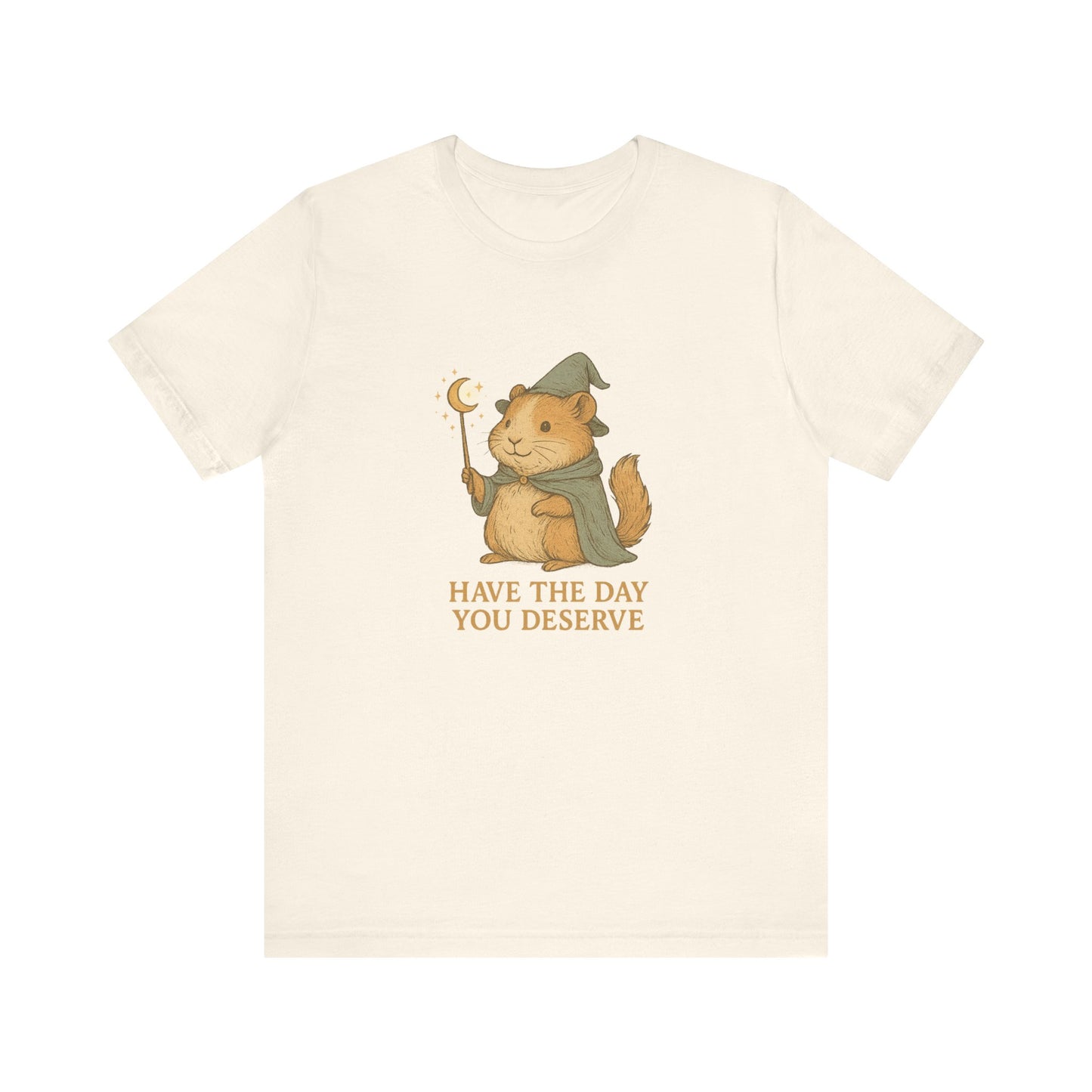 Have The Day You Deserve Shirt, Inspirational Clothes, Positive Graphic Tees, Sarcastic Shirts,Cute T-Shirt, Kindness Gift, Pet owners