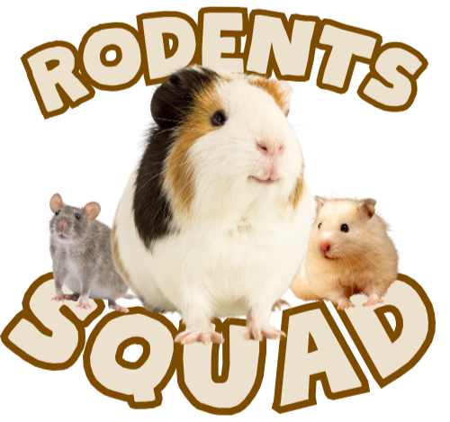 RodentsSquad